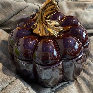 Connections Ceramic Maroon pumpkin with lid